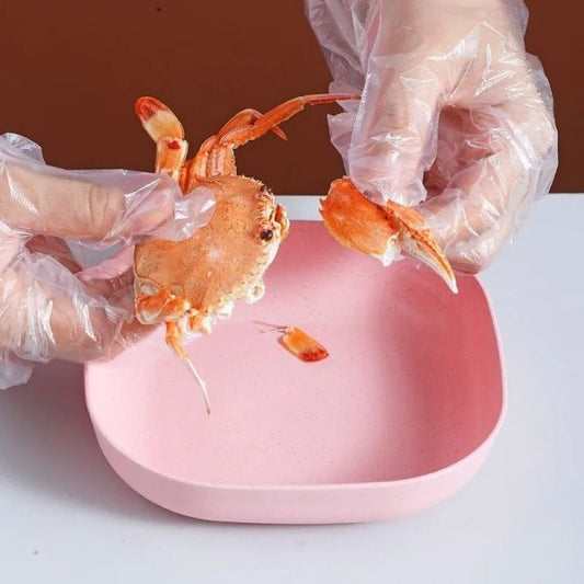 Food Grade Plastic Household Dining Plates