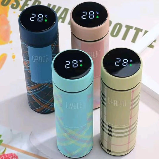 LED Temperature Display Water Bottle 1