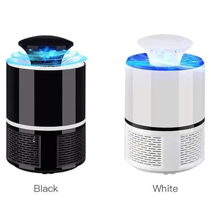 Trap Lamp