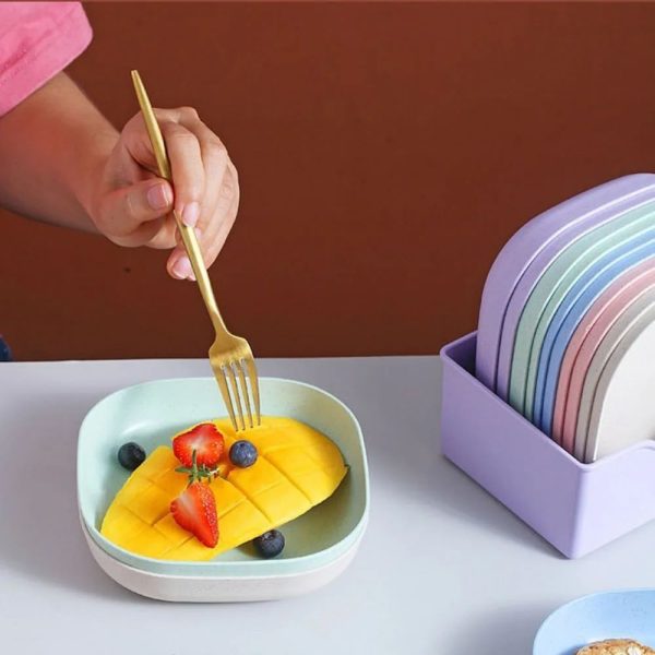 Food Grade Plastic Household Dining Plates