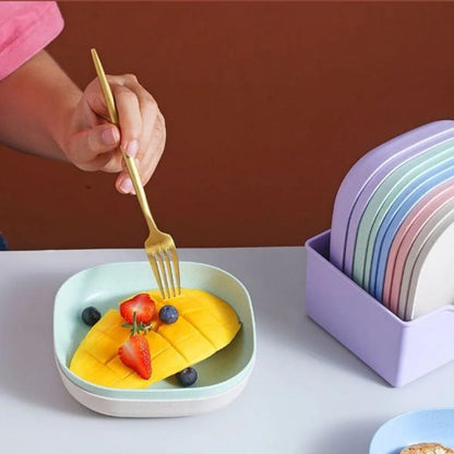 Food Grade Plastic Household Dining Plates