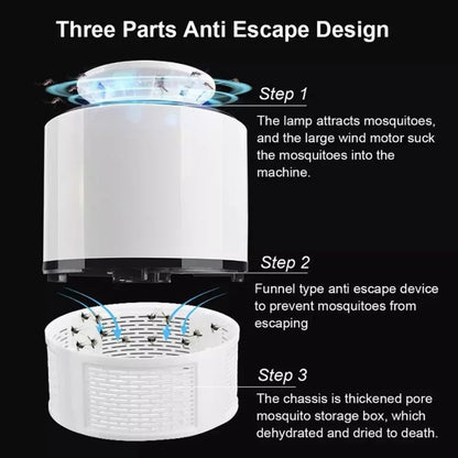 Trap Lamp